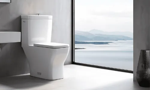 변기 막힘
